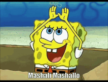 Mashali Mashallo GIF