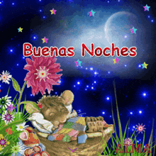 a mouse is sleeping in a basket with the words buenas noches written above it
