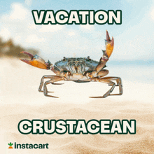 Crustacean Crabs GIF