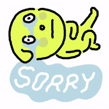 excuse me excuse apologize sorry so sorry
