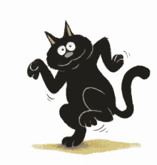 Dancing Cat Black Cat GIF - Dancing Cat Black Cat Cat GIFs