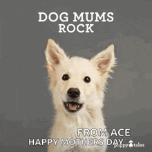 a picture of a dog that says dog mums rock