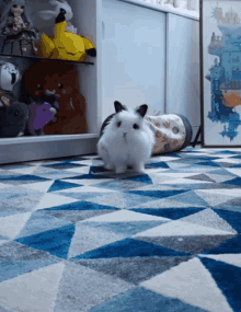 bunny rabbit luality binky cute