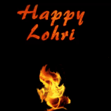 fire happy lohri