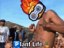 Potted Ps GIF - Potted Ps GIFs