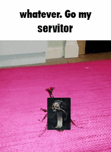 a pink rug with a picture of a skeleton on it and the words whatever go my servitor