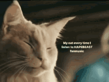 Hapebeast Cat GIF - Hapebeast Cat GIFs