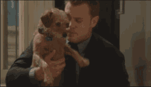 a man in a suit holds a small brown dog
