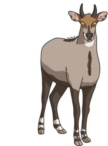 Antelope Nilgai Sticker - Antelope Nilgai Stickers