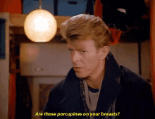 a man is asking if there are porcupines on your breasts