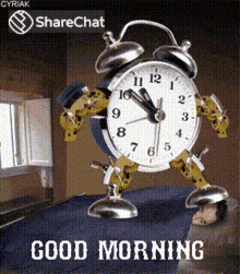 Good Morning Wake Up GIF - Good Morning Wake Up Alarm Clock GIFs