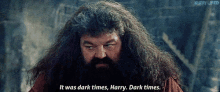 Hagrid Dark Times GIF