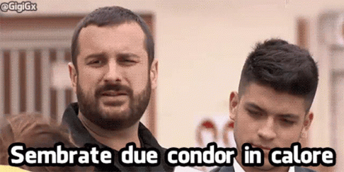 Costantino Della Gherardesca In Calore GIF - Costantino Della Gherardesca In Calore Pechino Express GIFs