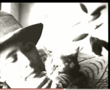 Andy Warhol Bwh1961 GIF - Andy Warhol Bwh1961 Cat GIFs