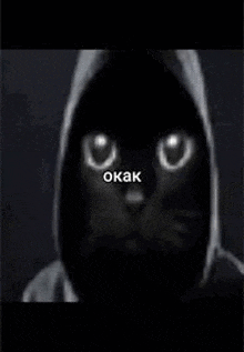 a black cat with glowing eyes wearing a hooded jacket .