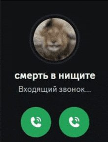 a phone screen with a picture of a lion in the center