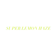 test super lemon haze text wave
