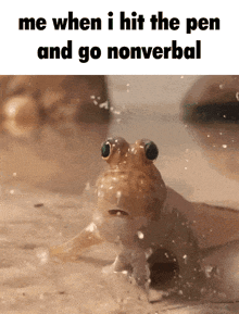 Hit The Pen And Go Nonverbal GIF - Hit The Pen And Go Nonverbal Mudskipper Blink GIFs