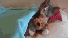 Imbratisare GIF - Cute Kitten Cute Kitty With Teddy Bear Sleepy Kitten GIFs