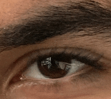 Göz GIF - Göz GIFs