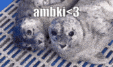 Ambki GIF - Ambki GIFs