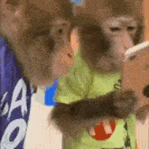 two monkeys are looking at a cell phone . one of the monkeys is wearing a purple shirt .