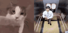 Taehyung Cat GIF - Taehyung Cat Cats GIFs