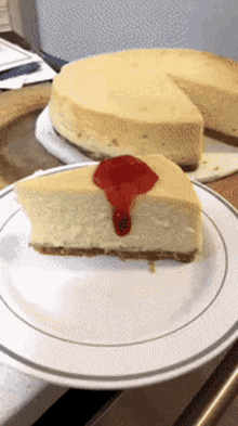 Cheesecake Food GIF