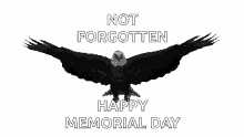 Happy Memorial Day Not Forgotten GIF - Happy Memorial Day Not Forgotten Eagles GIFs