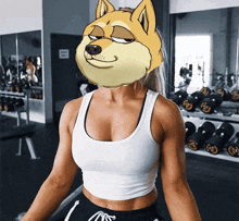 Doge Dogc GIF - Doge Dogc Fitness GIFs