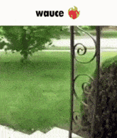 Wauce Wasp GIF - Wauce Wasp Bee GIFs