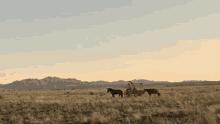 Horse Carriage News Of The World GIF - Horse Carriage News Of The World Desert Plains GIFs