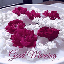 Good Morning Roses GIF - Good Morning Roses Morning Sunshine GIFs