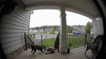Over It Fall GIF - Over It Fall Dogs GIFs