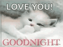 Goodnight Cat GIF - Goodnight Cat Sleepy GIFs