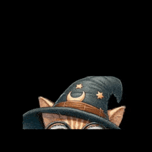 a cat wearing glasses and a wizard hat is holding chopsticks and sushi