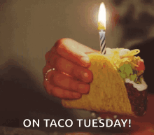 Happy Birthday On Taco Tuesday Hbd GIF - Happy Birthday On Taco Tuesday Hbd Candle GIFs