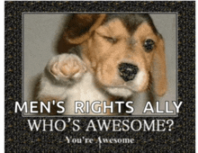 a picture of a puppy with the words men 's rights ally who 's awesome on it