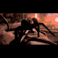 Arachnophobia Spider GIF