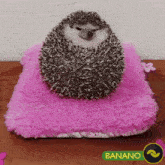 Banano Stom GIF - Banano Stom Hedgehog GIFs