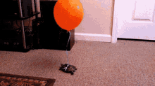 Balloon Balloons GIF - Balloon Balloons Birthday GIFs