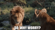 The Lion King Simba GIF - The Lion King Simba So Why Worry GIFs