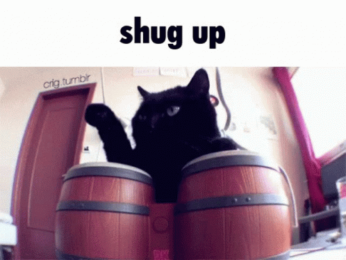 Cat Meme GIF - Cat Meme Shitpost - Discover & Share GIFs