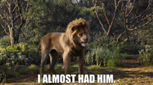 The Lion King Simba GIF - The Lion King Simba I Almost Had Him GIFs