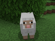 a white sheep with a cross on its head is standing in the grass