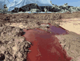 a puddle of red liquid is in a muddy field