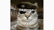 a cat is wearing a hat and eye patch .