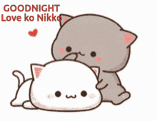 Good Night Love Ko GIF