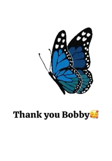 a blue butterfly is flying in the air with the words `` thank you bobby '' .