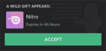 accept nitro